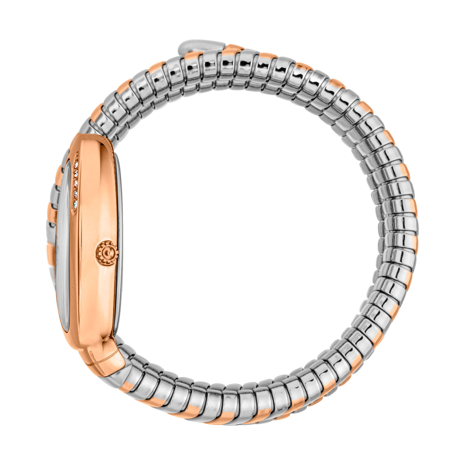 Just Cavalli JC1L230M0075